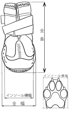 サイズ測る位置